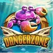 Danger Zone